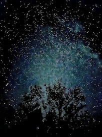 The night sky