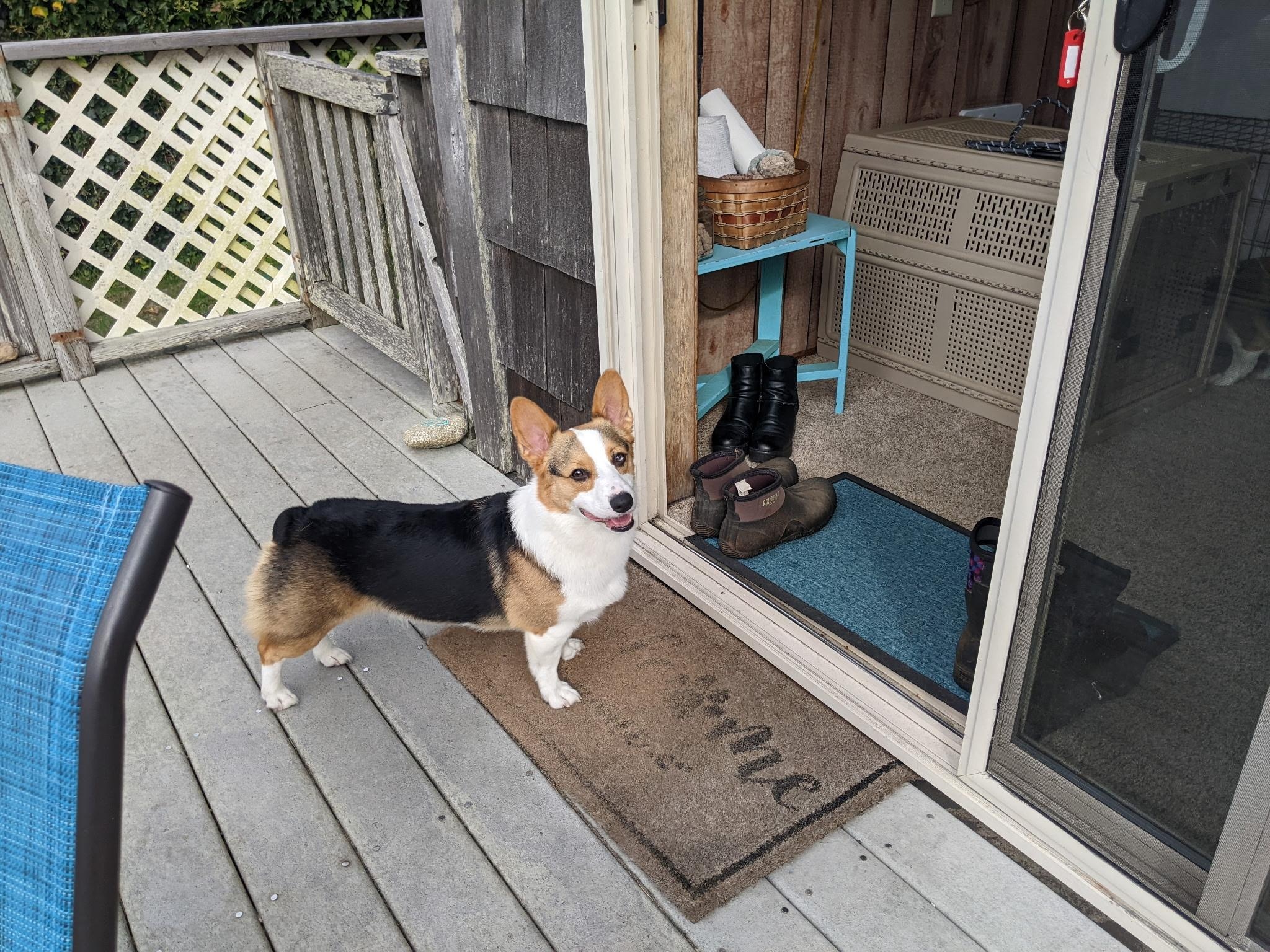 Loved having the deck fenced for our dog, Thomas who enjoyed the aroma of the ocean:)