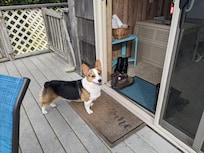 Loved having the deck fenced for our dog, Thomas who enjoyed the aroma of the ocean:)