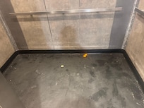Elevators nasty