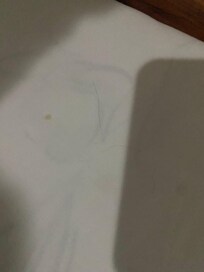 Pelos por toda la cama