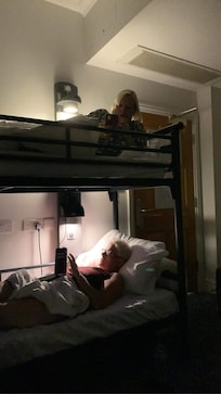 Comfy bunk beds