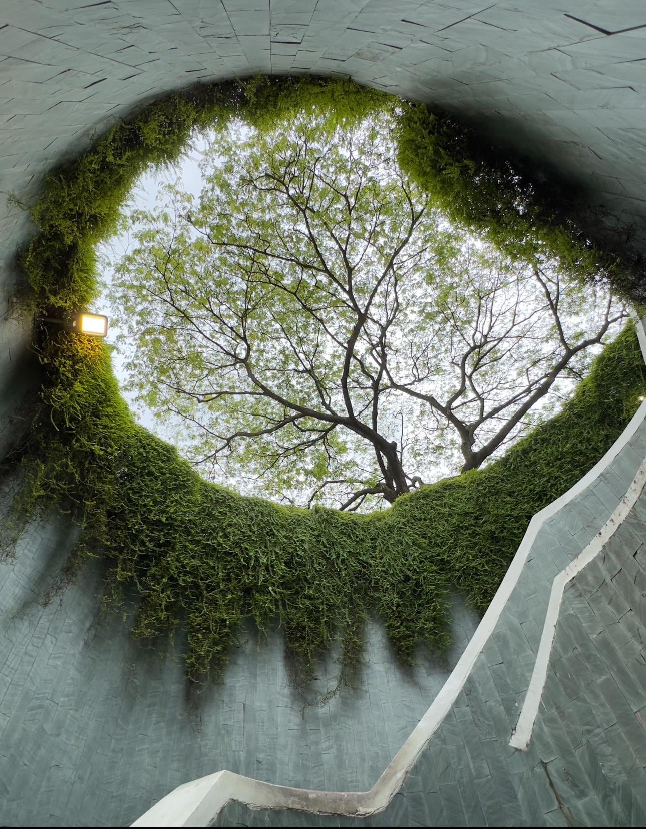 Beautiful canning park nearby and you can commute by MRT or the Dhoby Ghaut Station. 