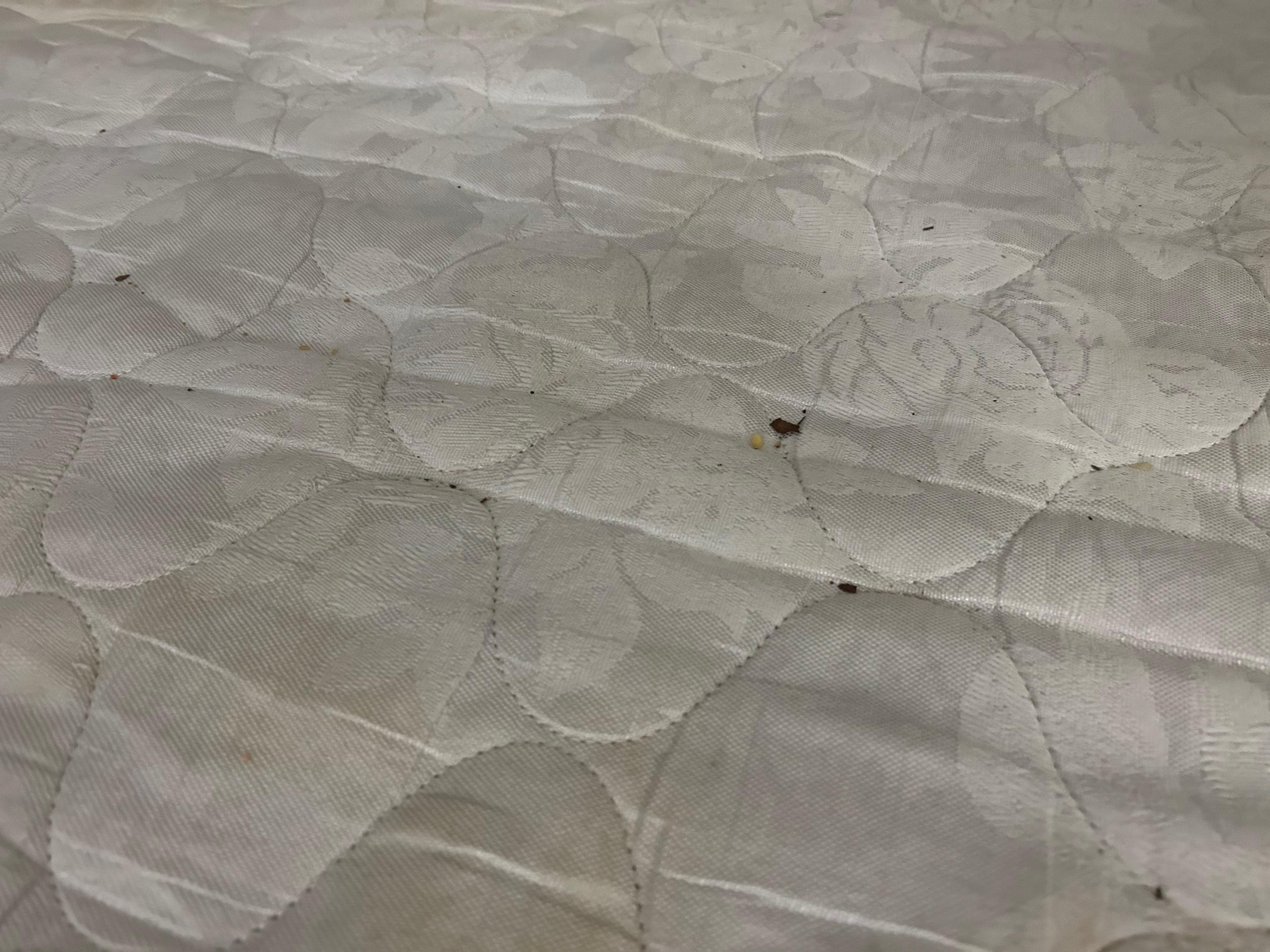 Mulch and dirt on top