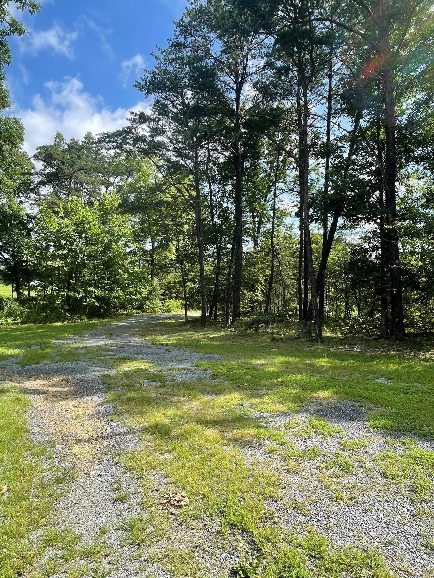 The front driveway. You can see it's remote.