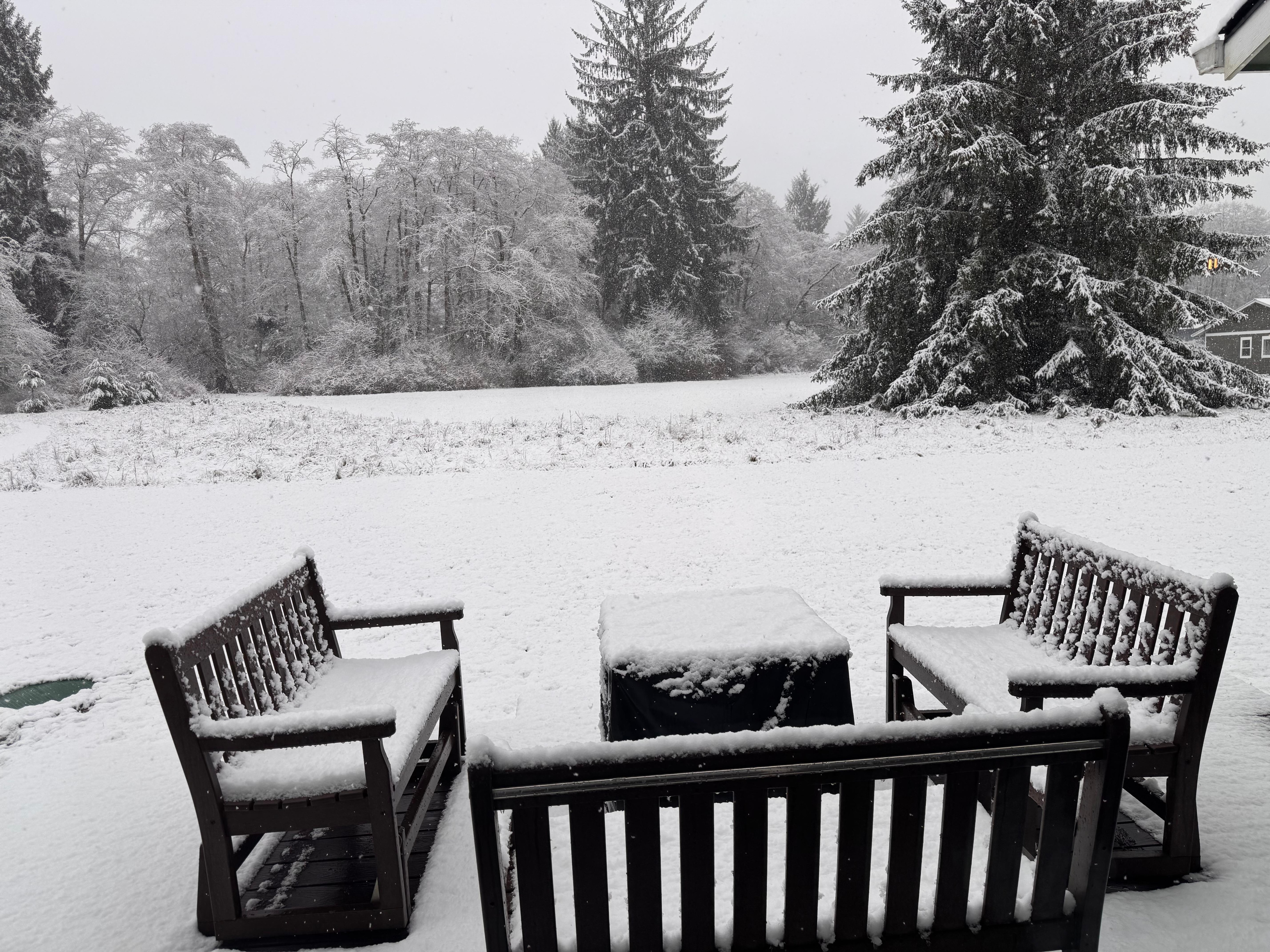 A beautiful snowy morning