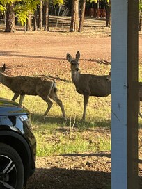 Taken from the front door.