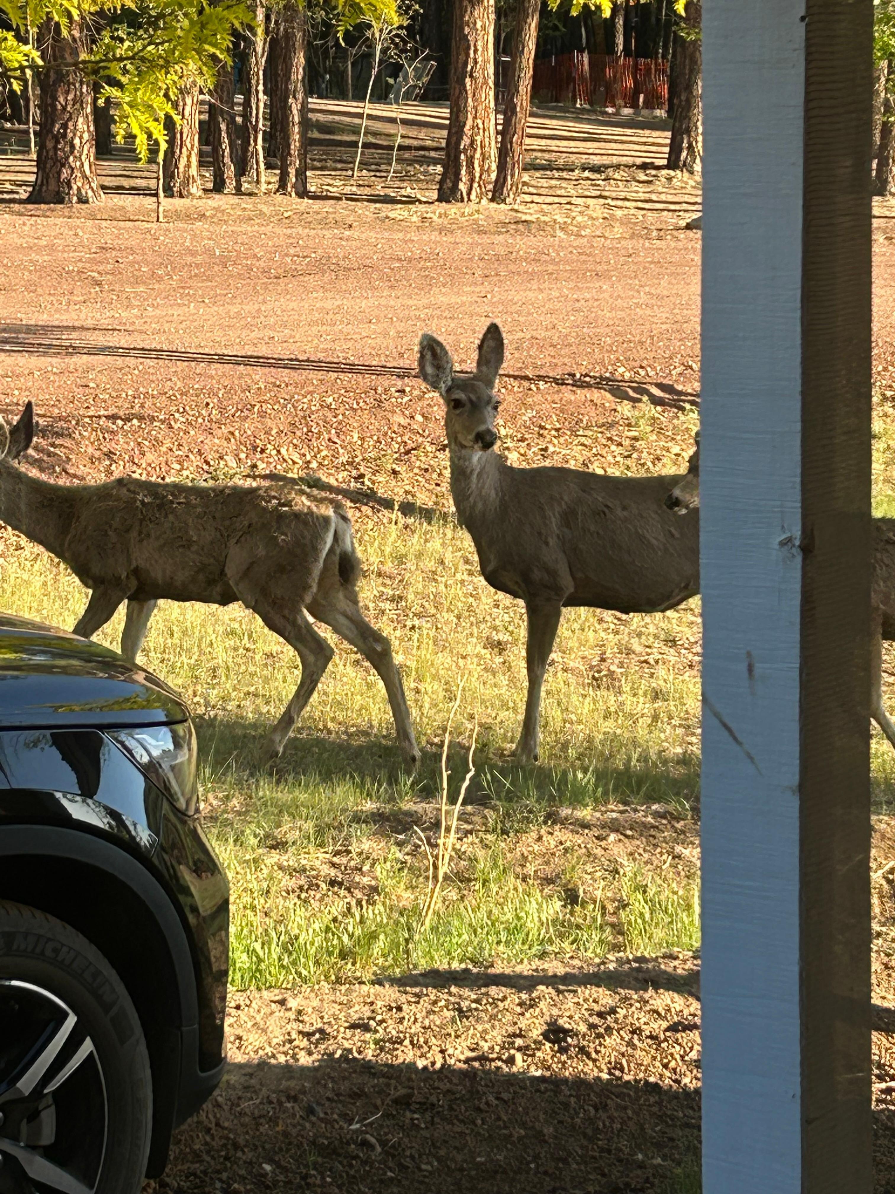 Taken from the front door. 