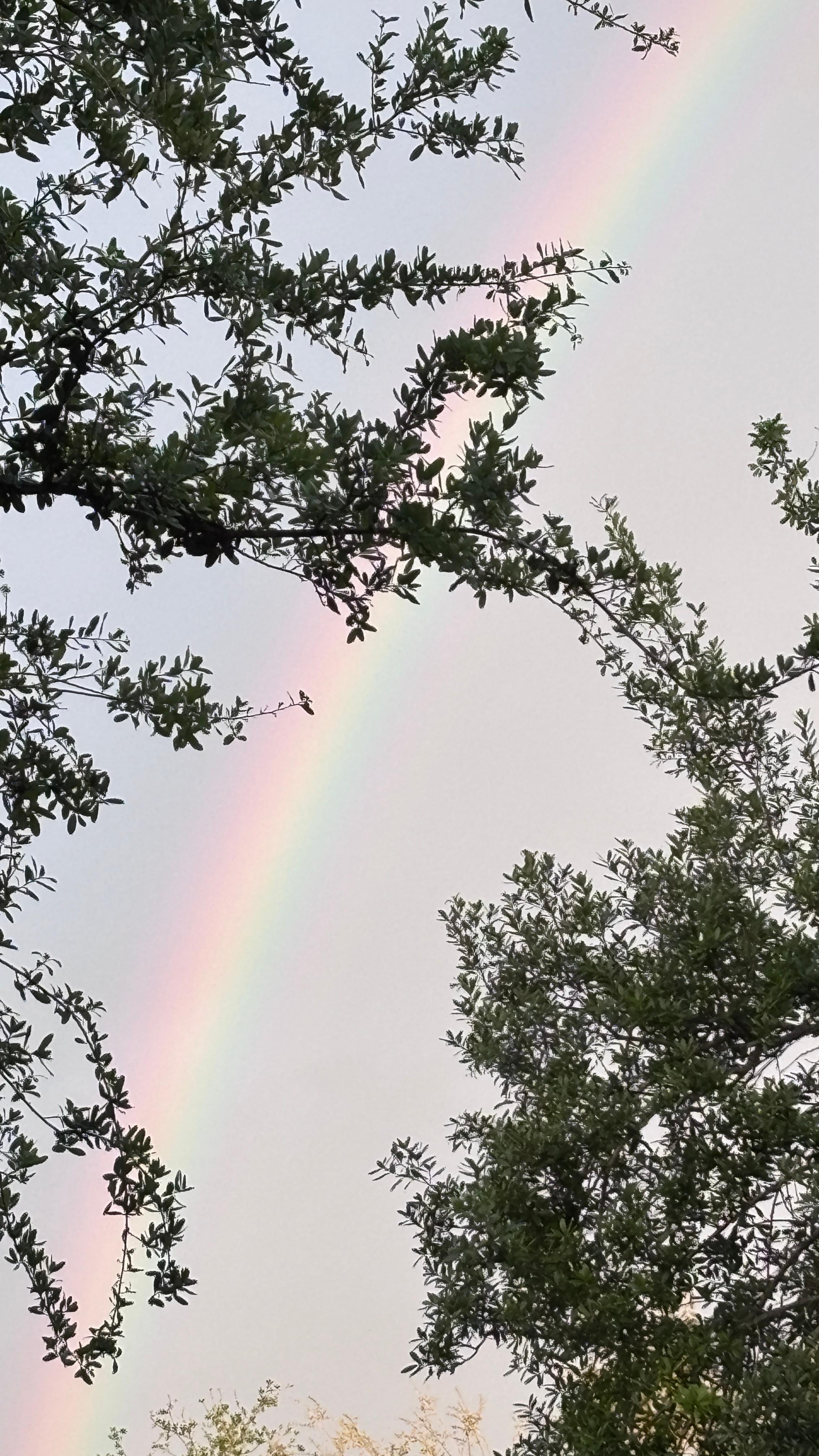 Rainbow just b4 sunset