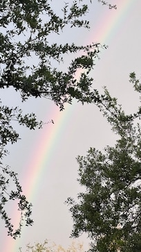 Rainbow just b4 sunset