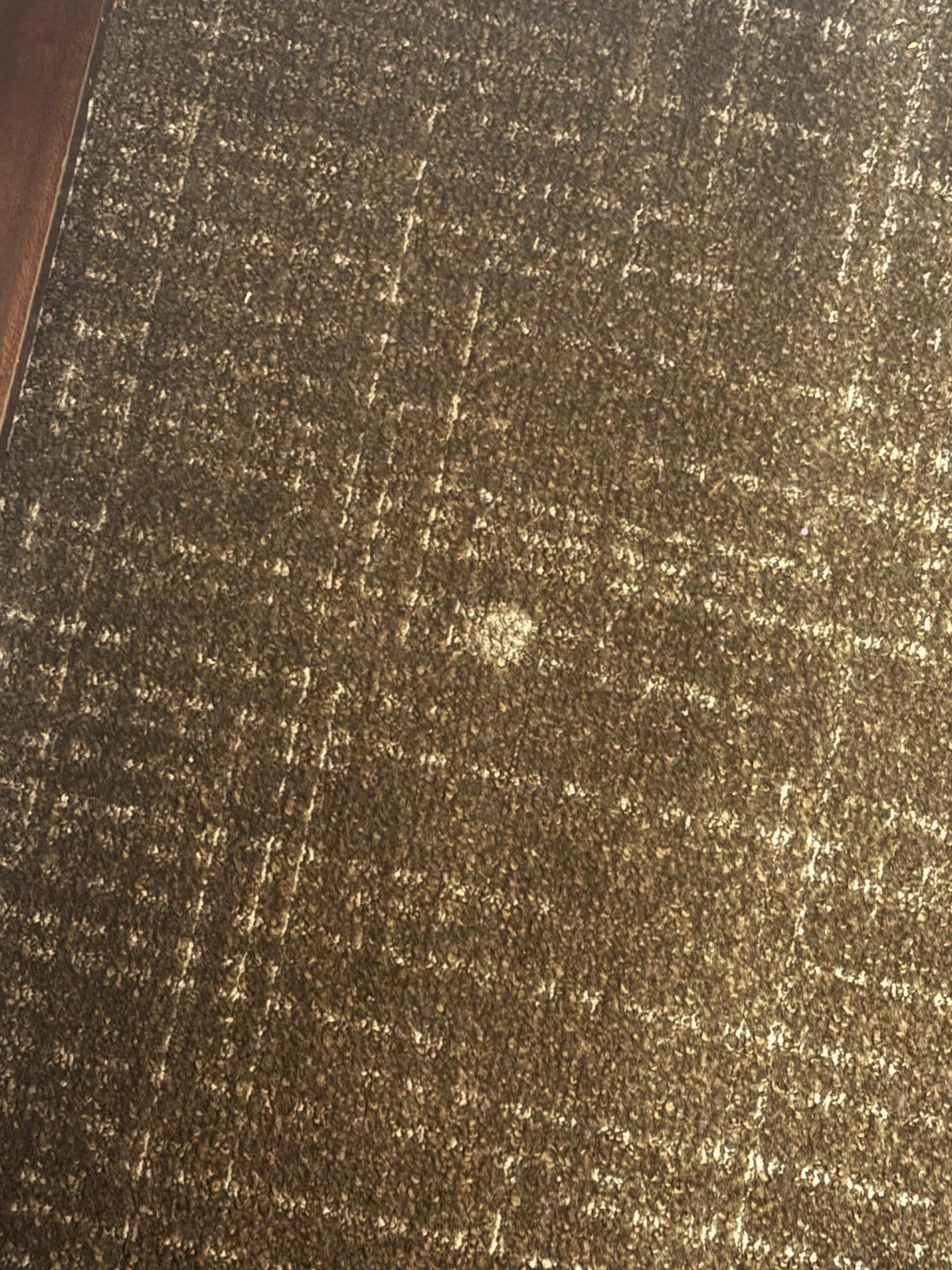 Removable stains on floor - Just not Clean