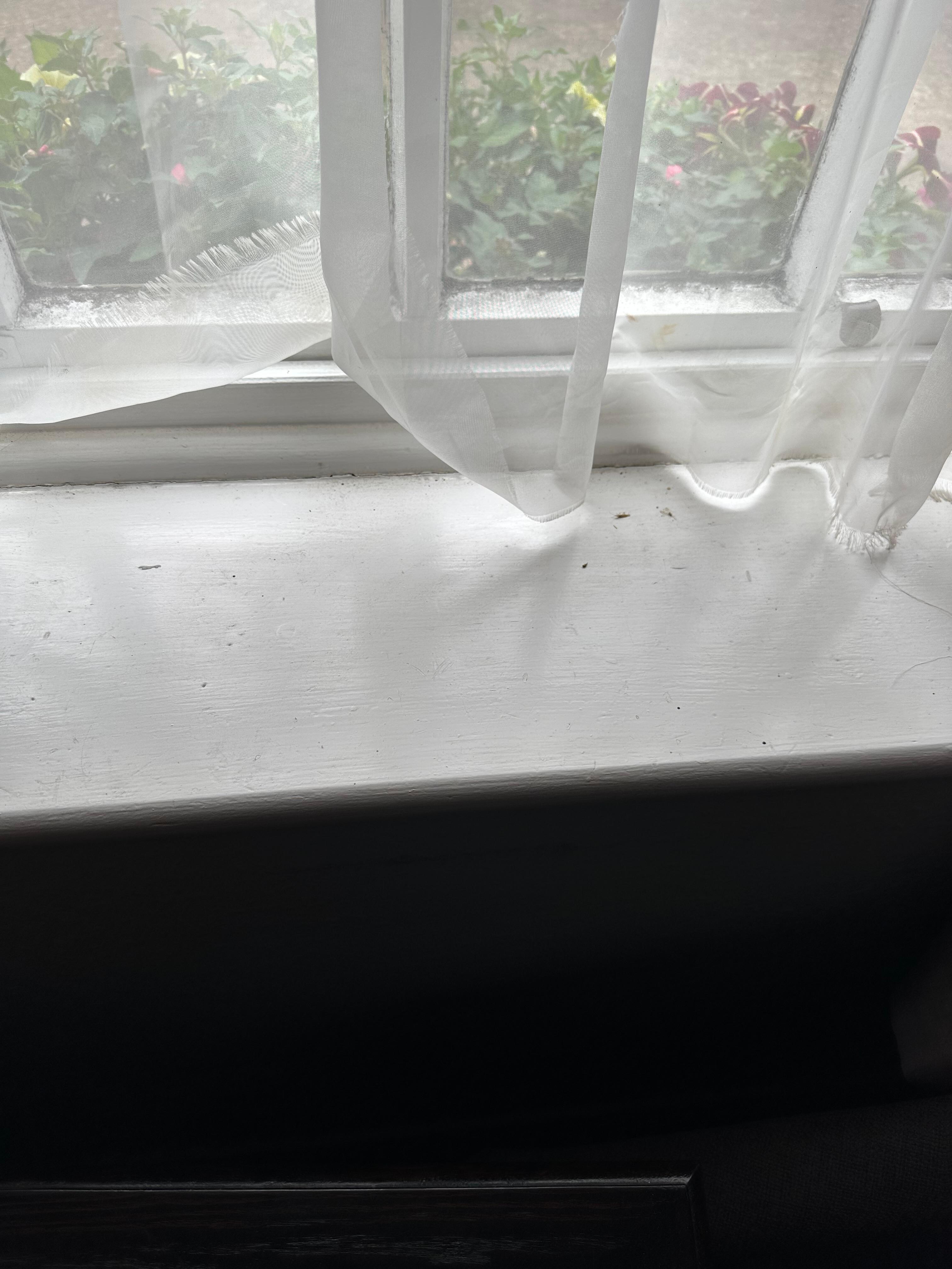 Window ledge