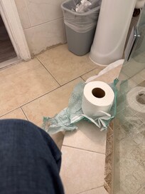 no rack for toilet paper? ????