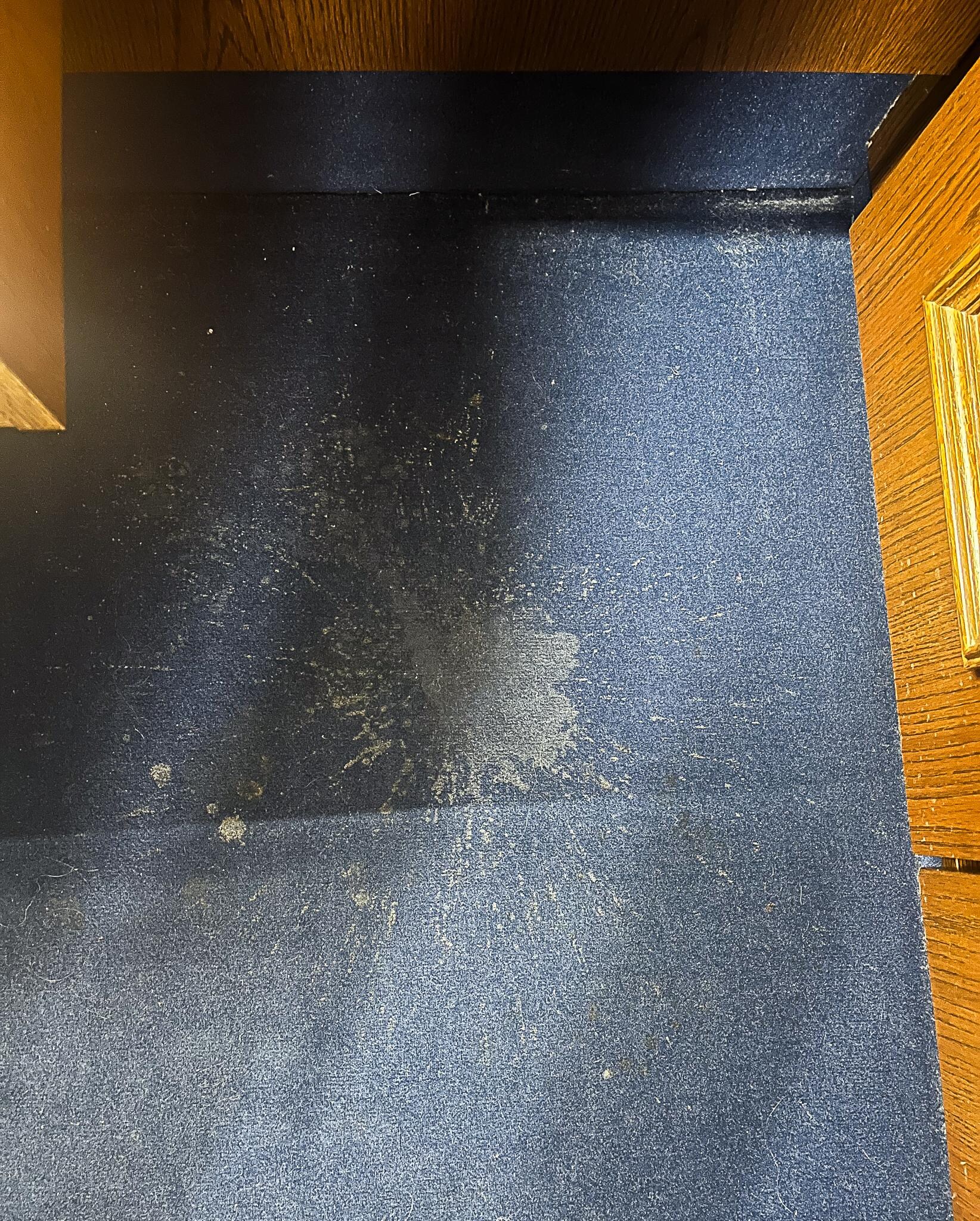 Der Teppich im Zimmer