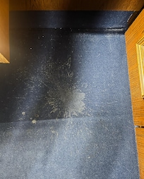 Der Teppich im Zimmer