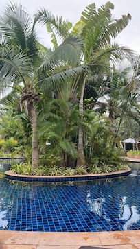Piscine du Resort