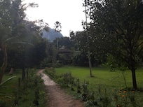 Baan Khao Sok