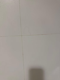 Hair in shower not cleaned.