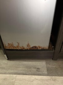 Rust at the bottom of fridge