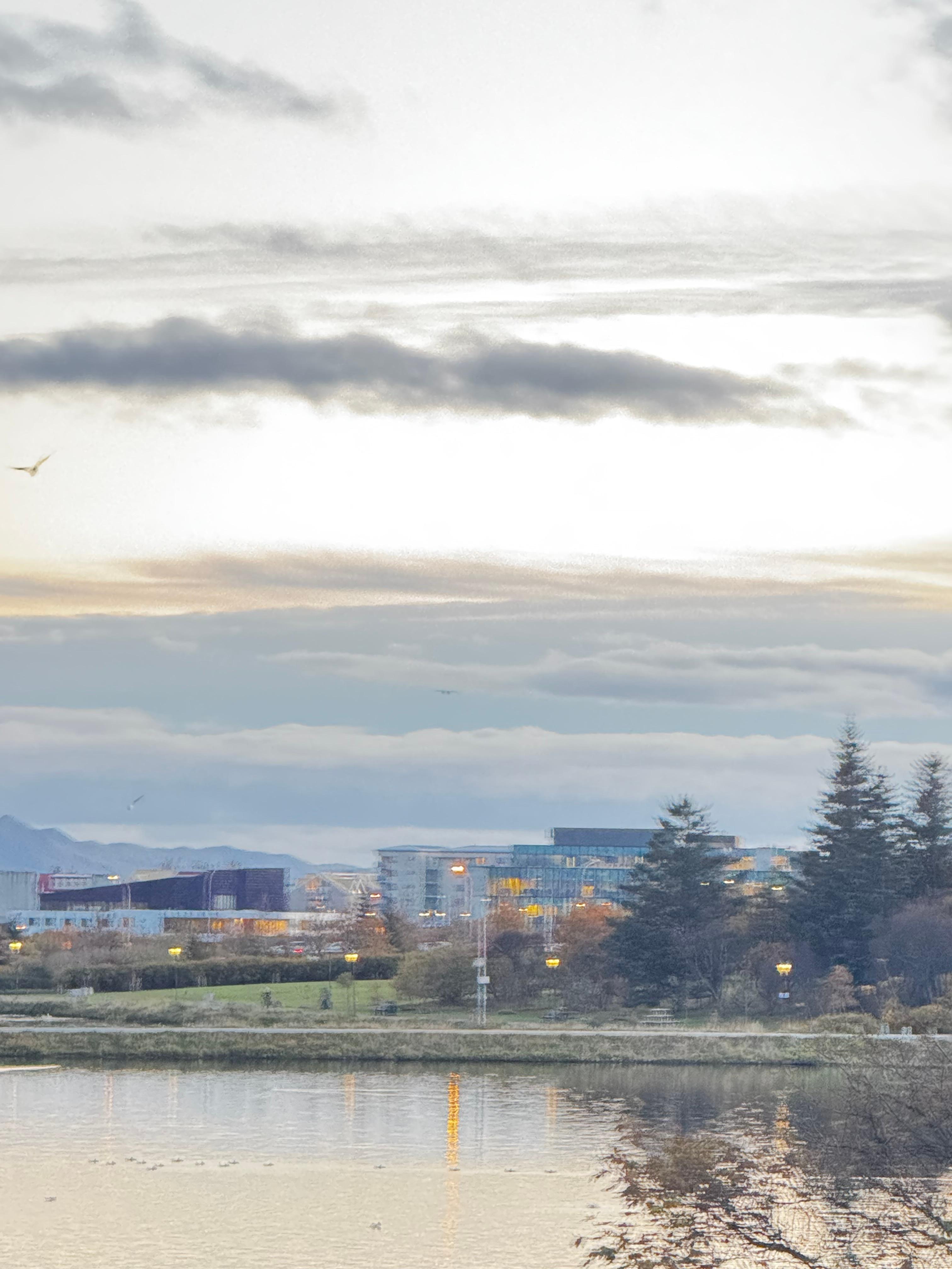 Vista desde el balcón 