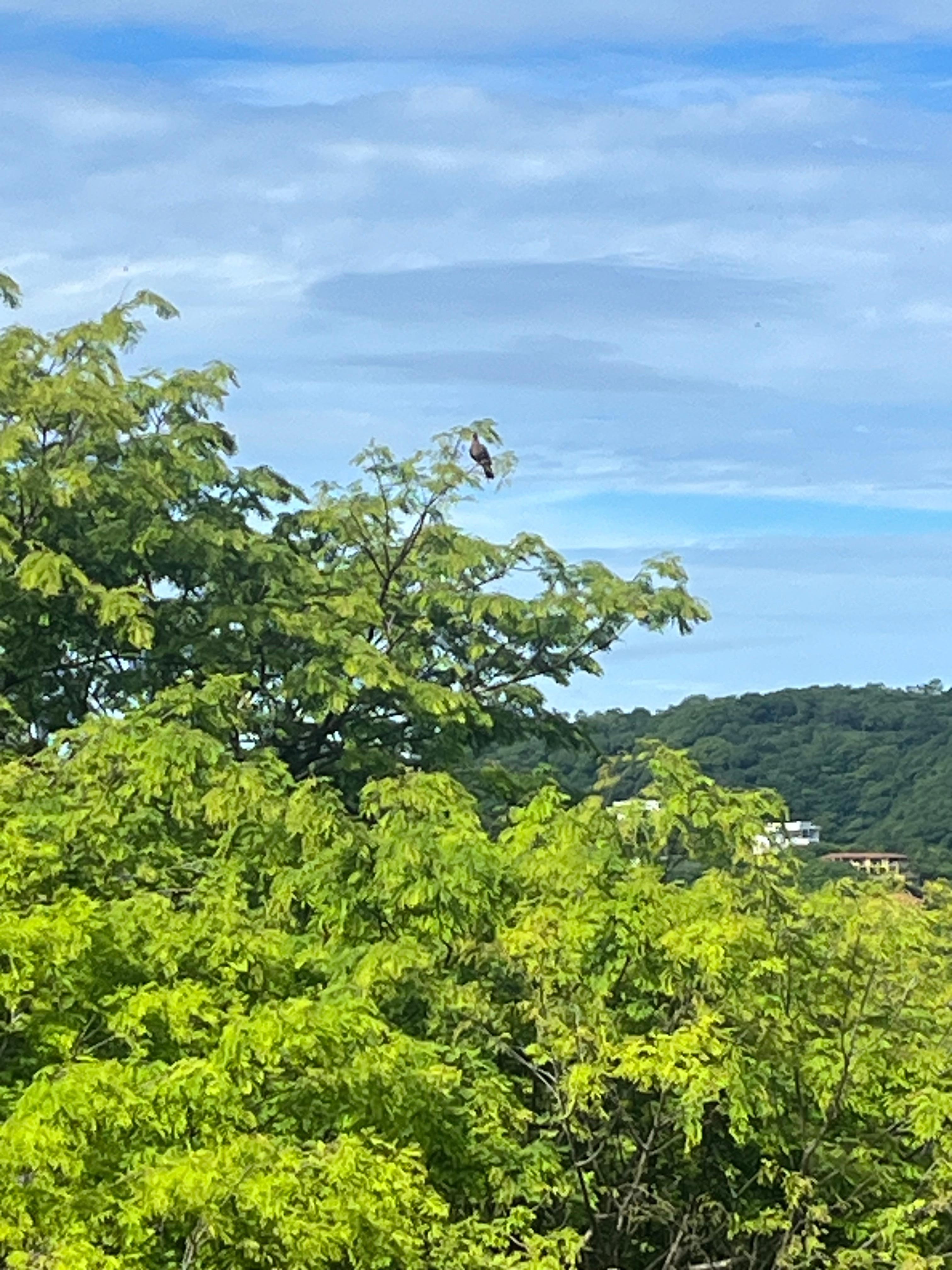Beautiful breakfast view 