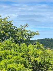 Beautiful breakfast view