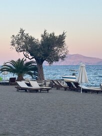 Multiple beach bars available