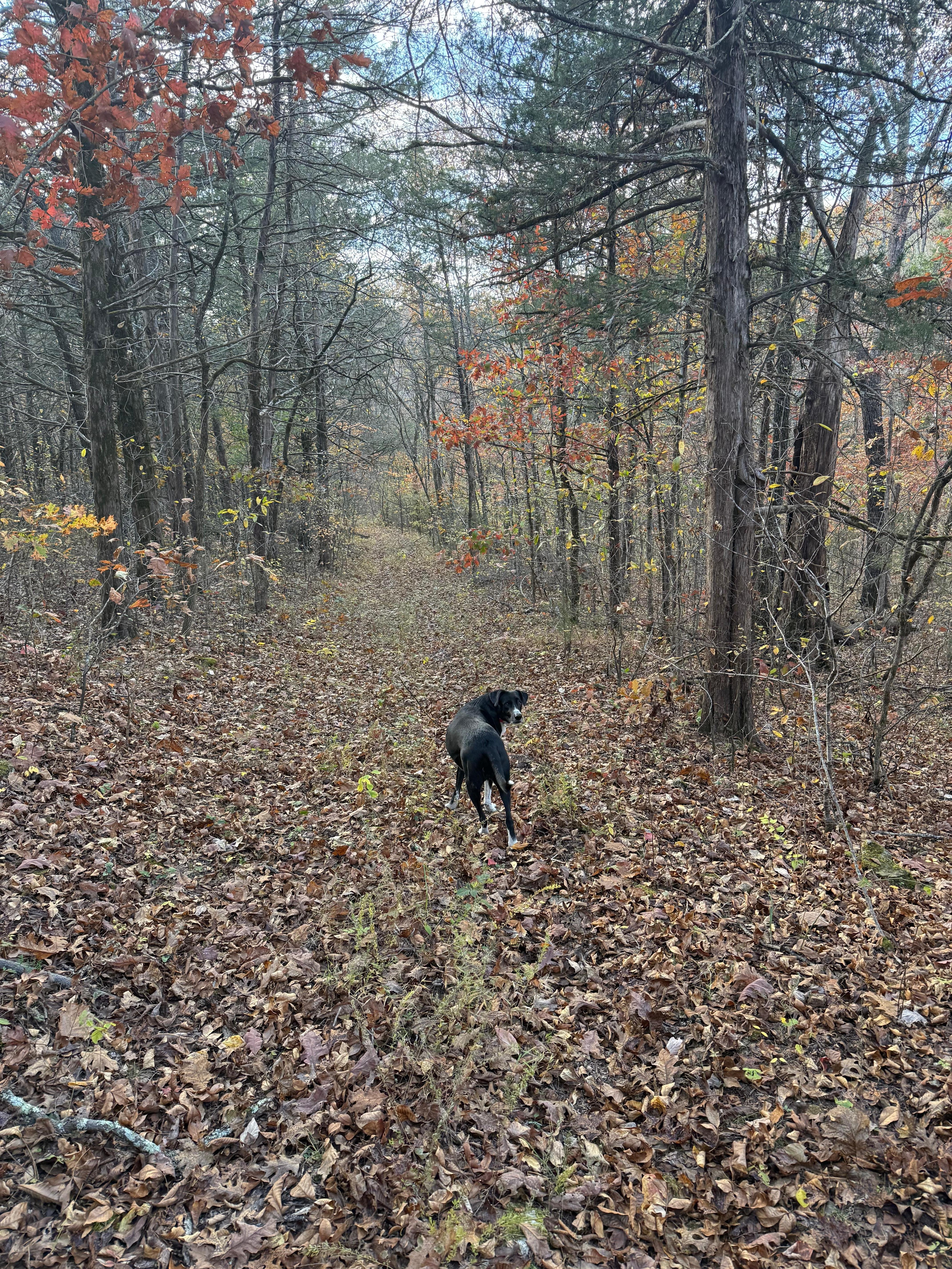 Hike on one of the many trails through the property. 