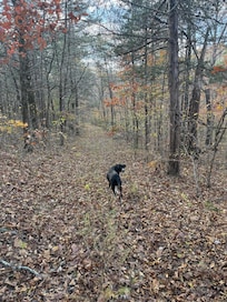 Hike on one of the many trails through the property.