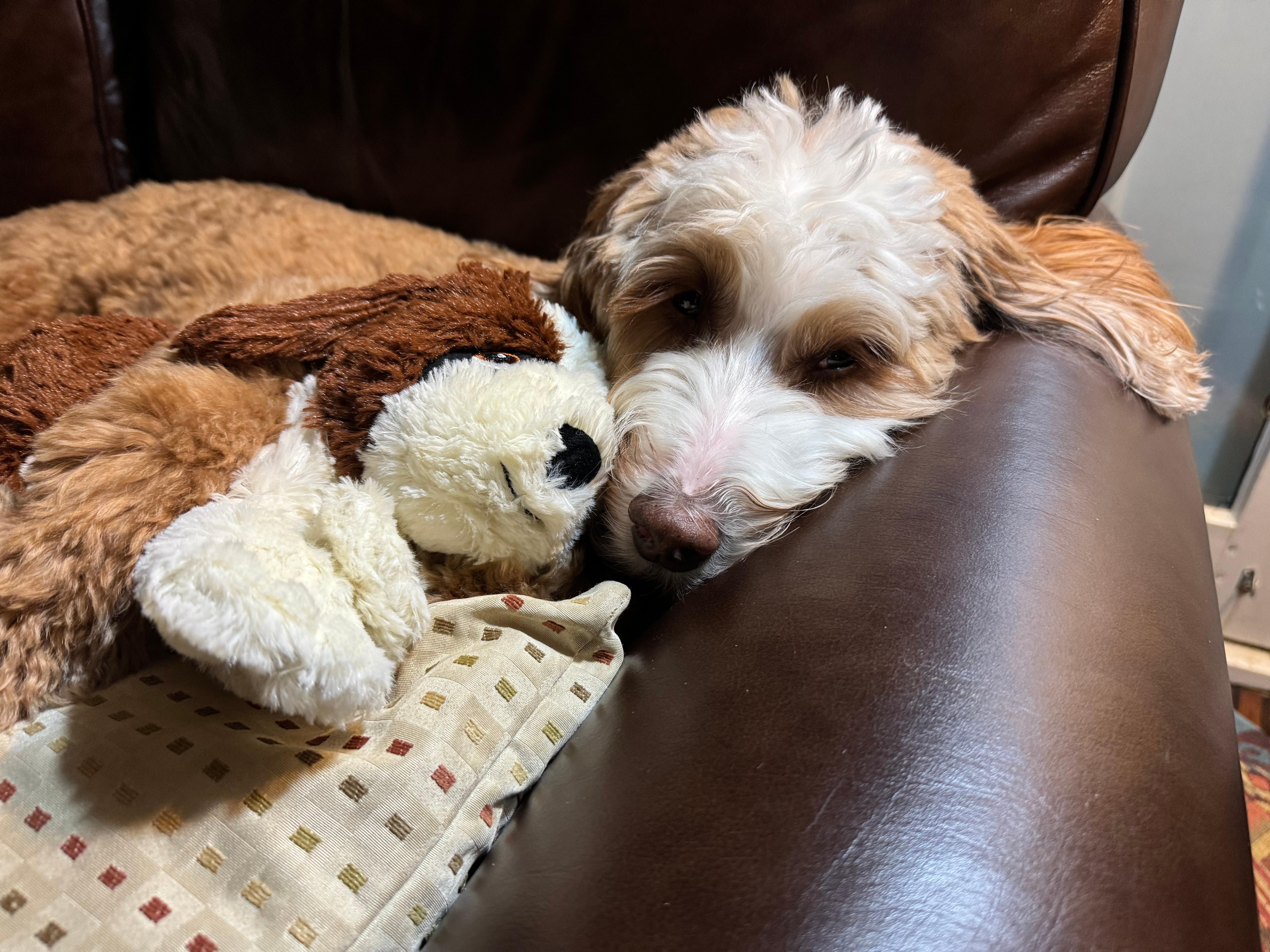 Great places to nap!