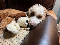 Great places to nap!