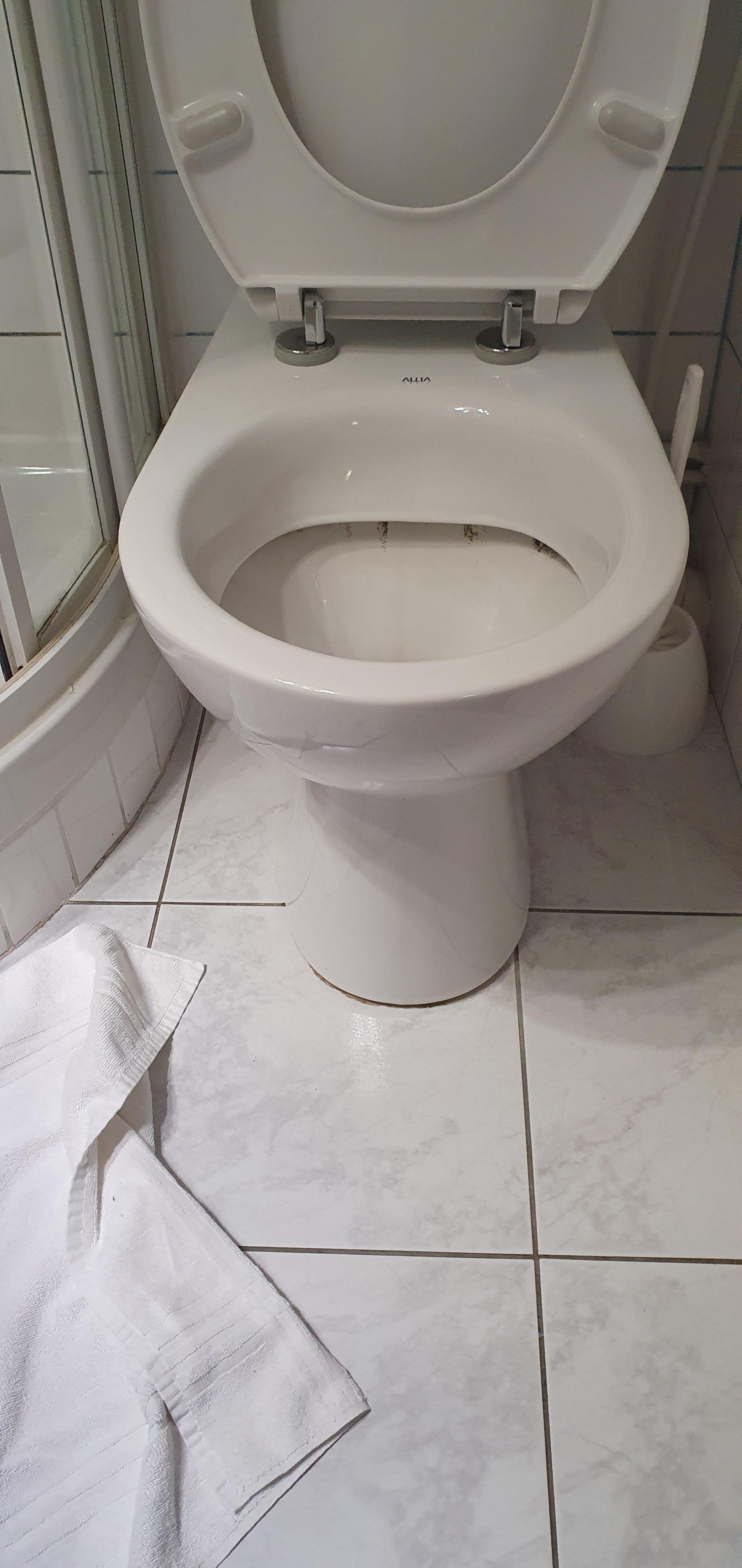 The not so clean toilet