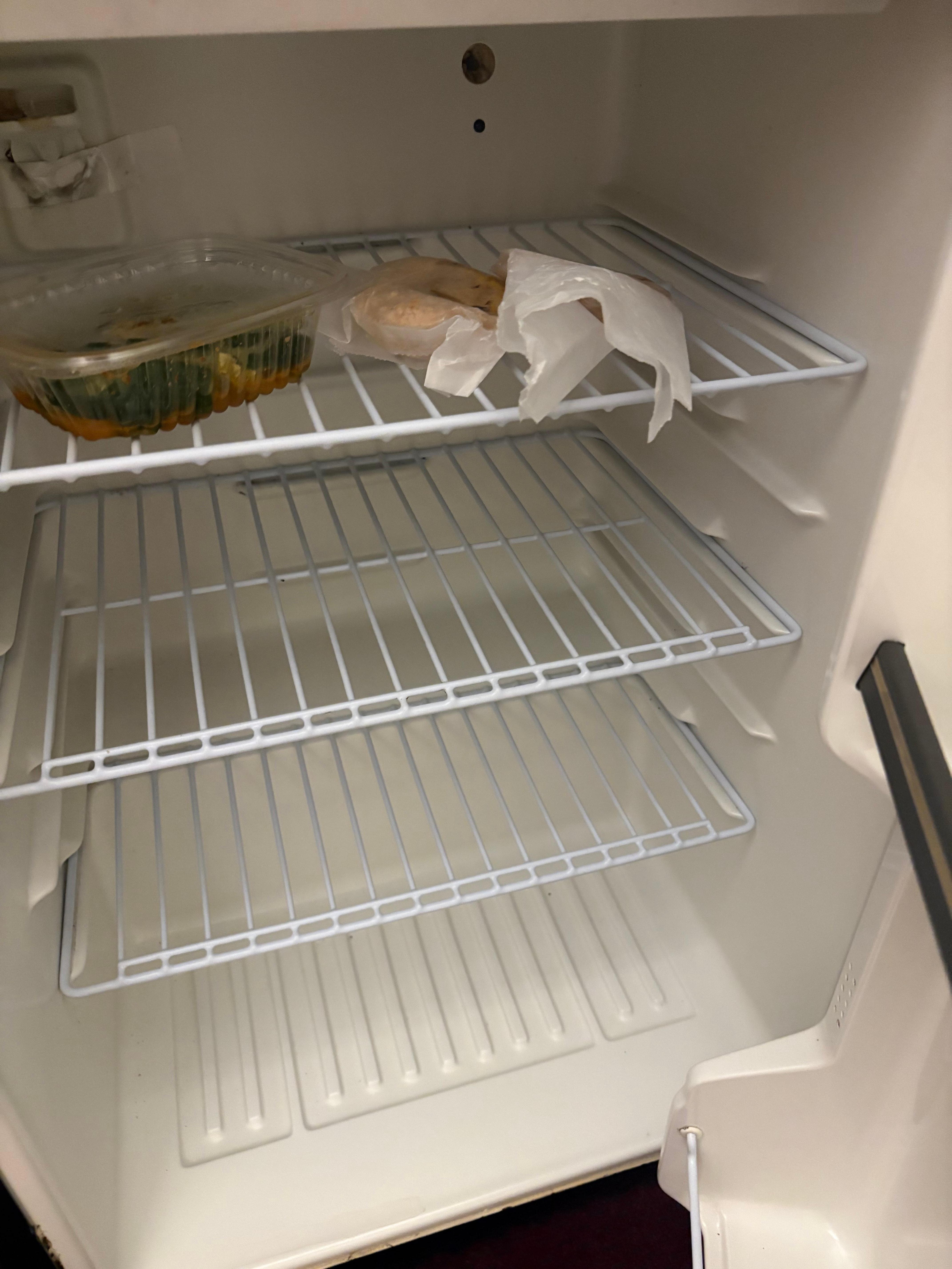 Molding leftover food from previous occupants