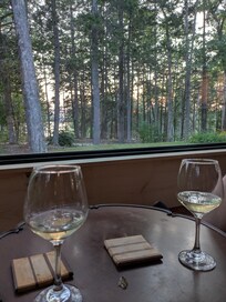 View from the new sunroom