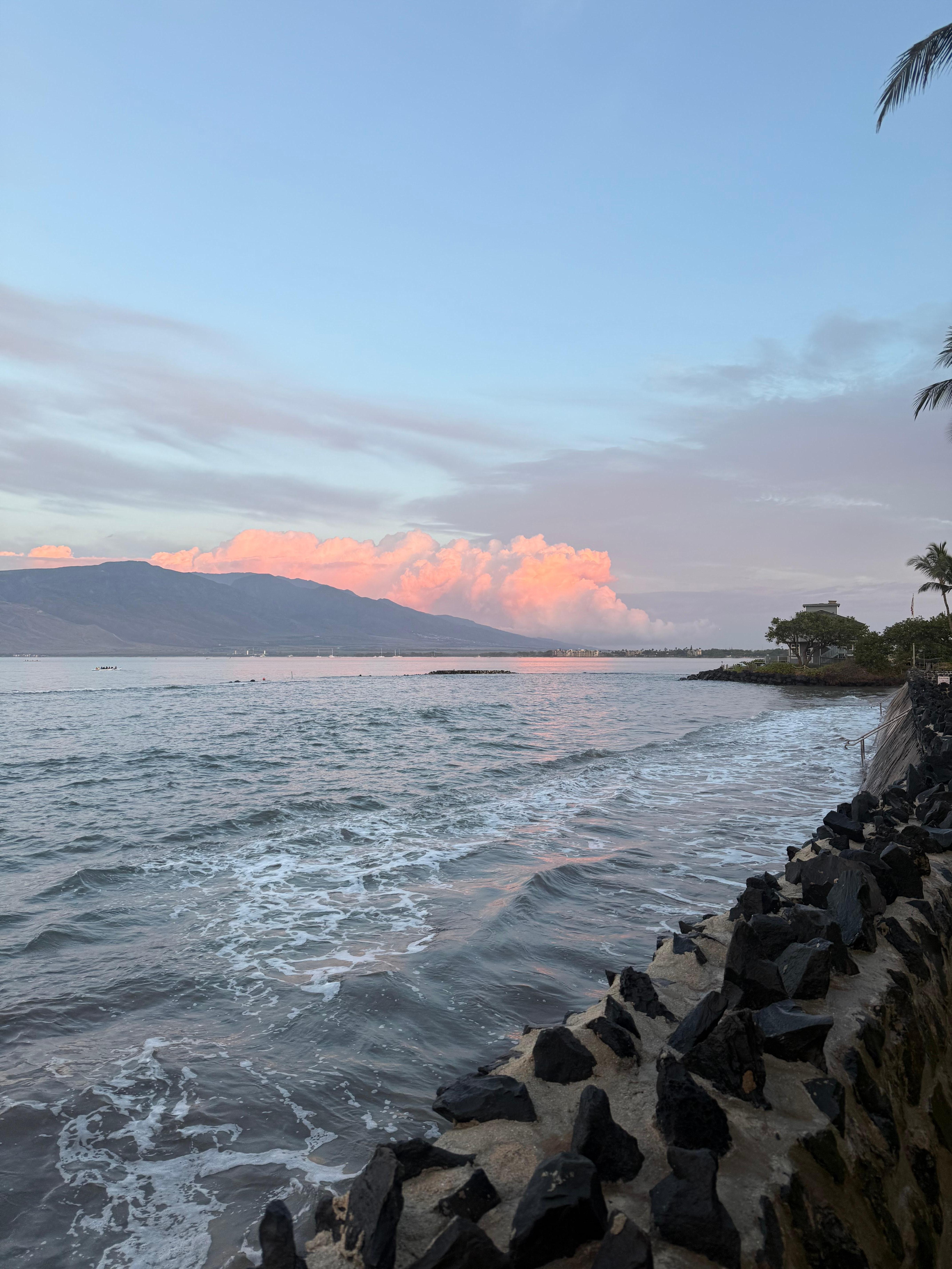 Early morning whale spotting as the sun comes up from right outside our lanai 