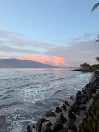 Early morning whale spotting as the sun comes up from right outside our lanai