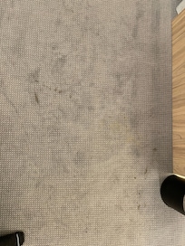 Verschmutzer Teppich im Zimmer