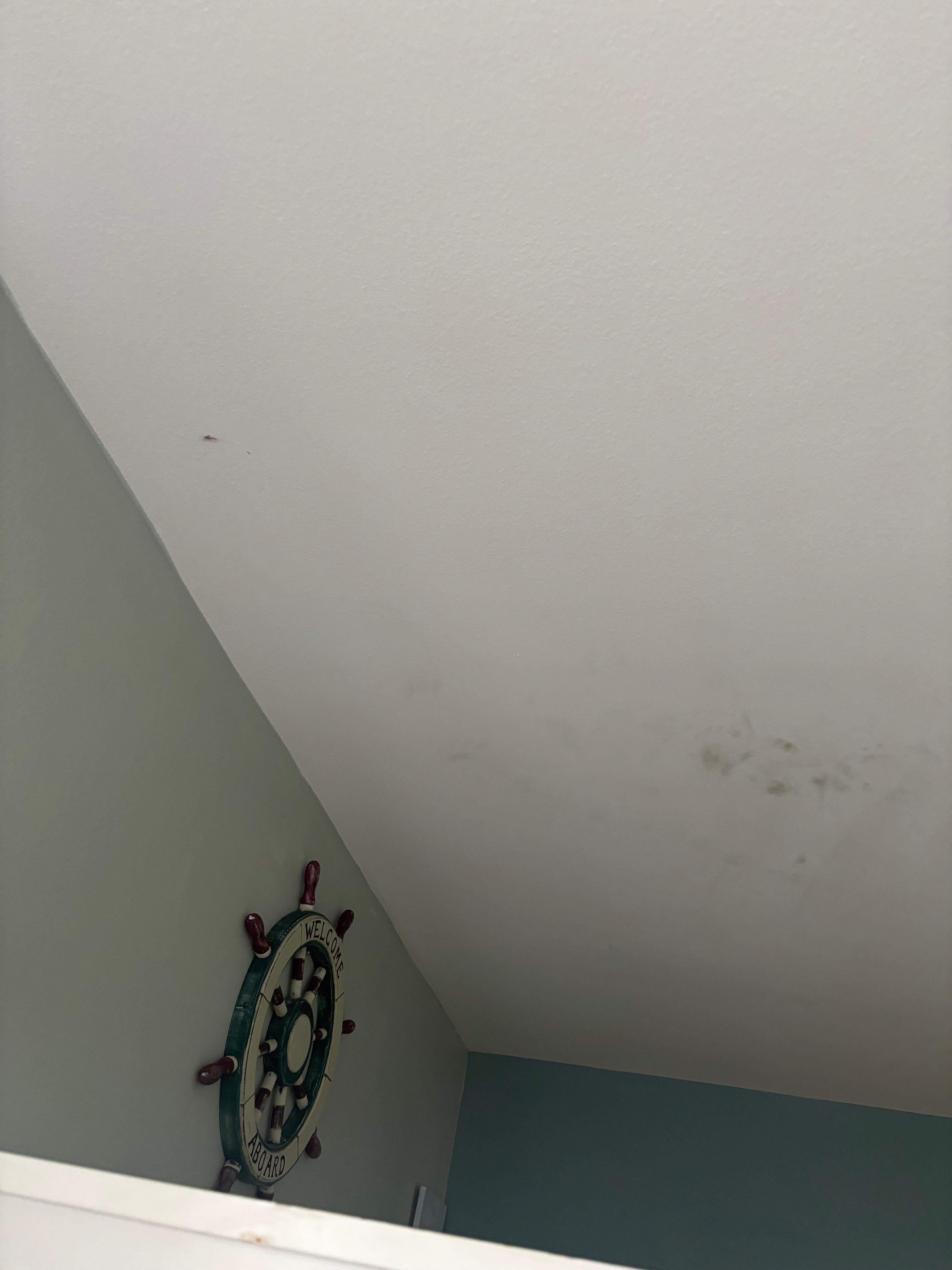Booger and stains on wall/ceiling