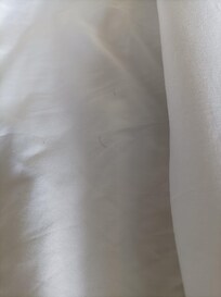 one of the photos i took of hair on the bedding