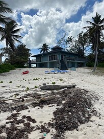 Beach front. Had a lot of seagrass beached up