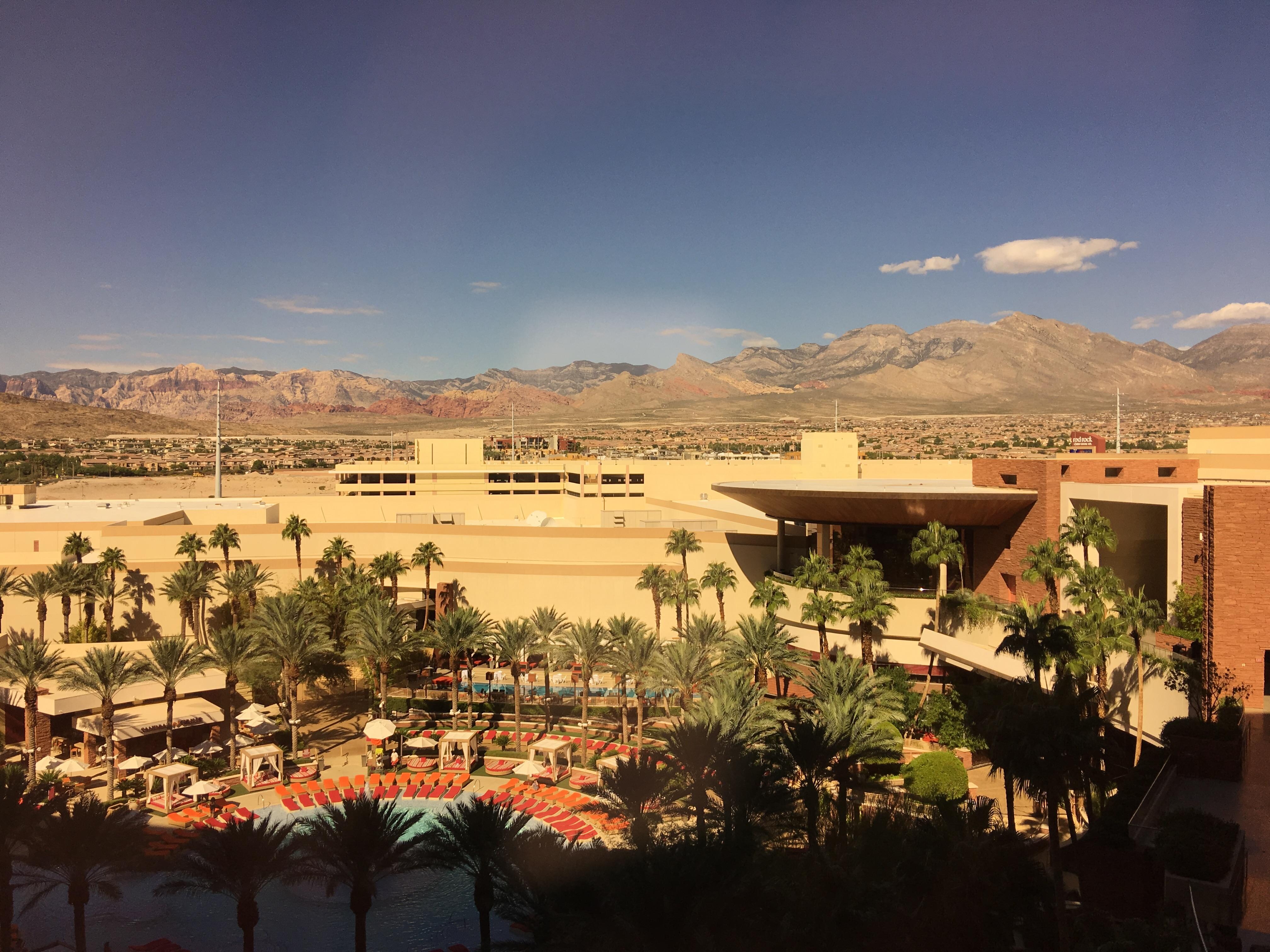 The view from my room