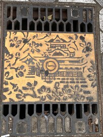 There were many interesting grate and manhole covers.