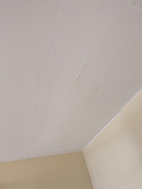 Not a great picture to really show ceiling cracks and crumbling