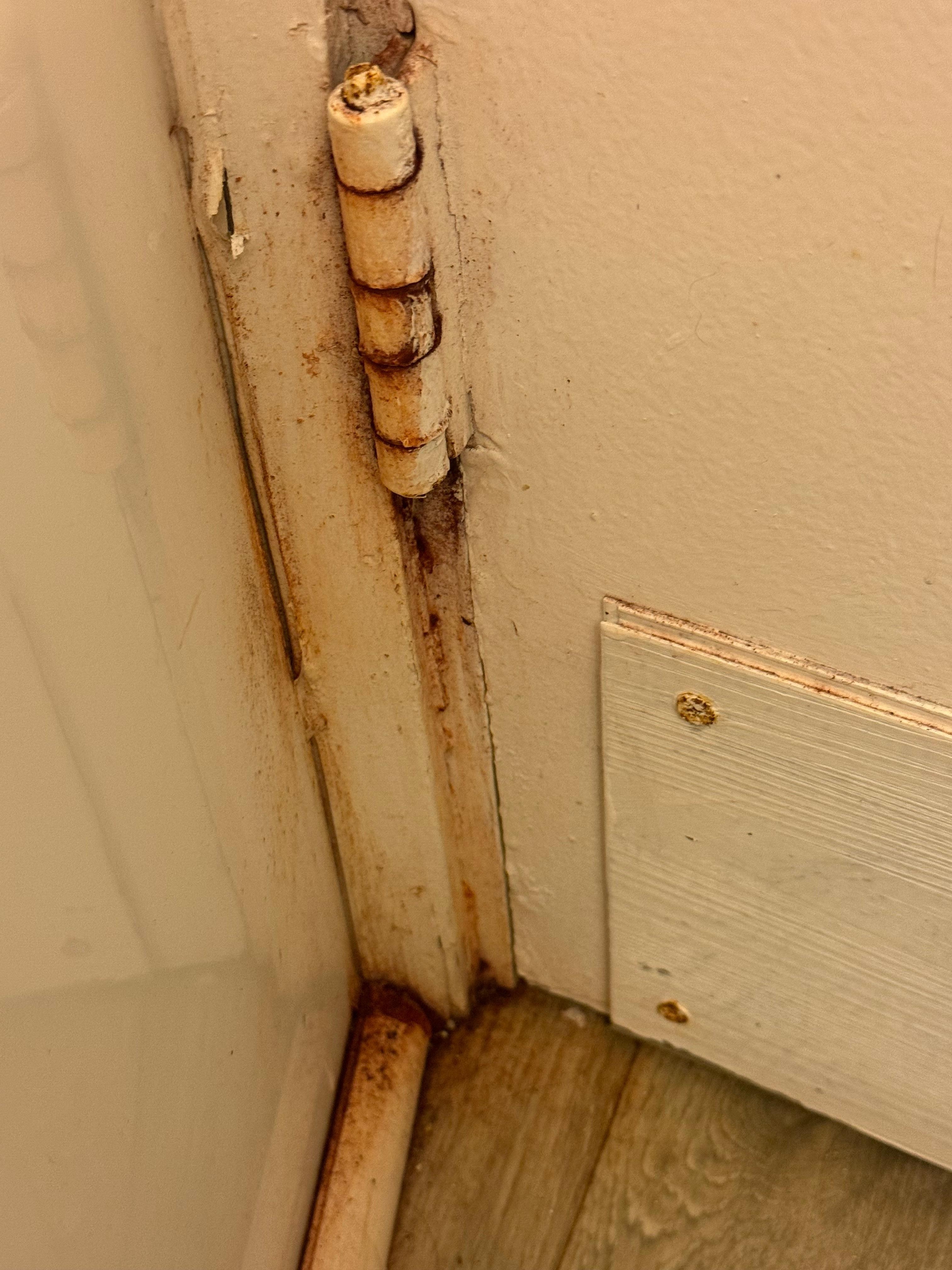 Rusted filthy bathroom door and floor