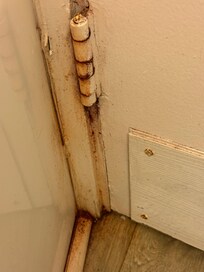 Rusted filthy bathroom door and floor