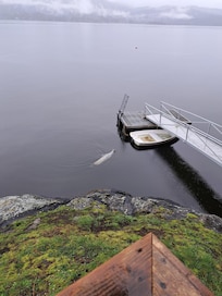 Seal at dock. Relaxing on his back :)