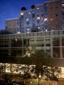The view from the room