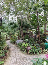 Jardin