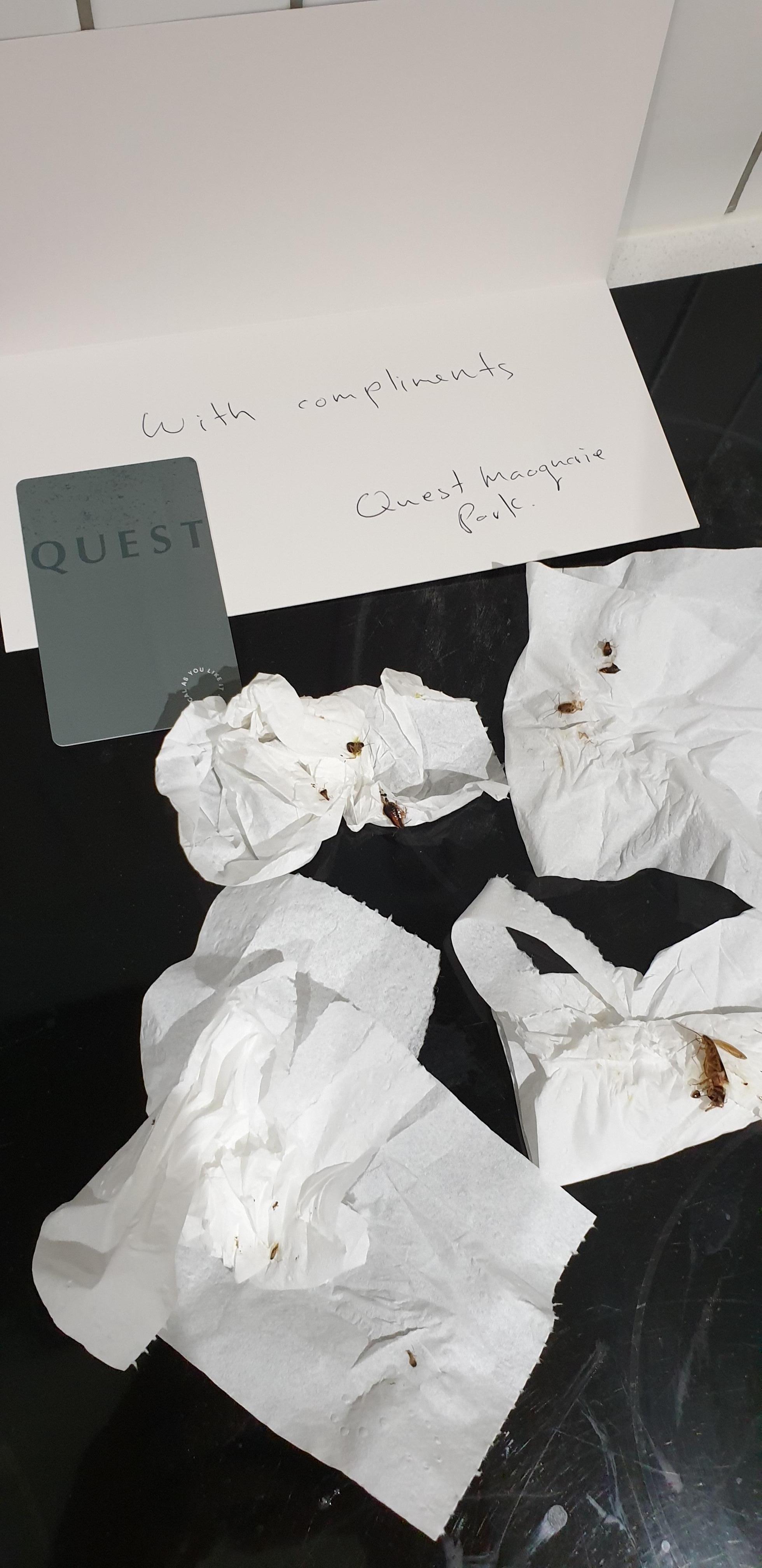 Cockroach Infestation- No minimum health standards