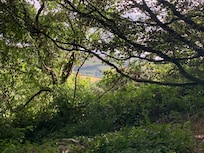 View of the garden from ‘Hardy’s bench’